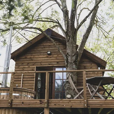 Romantic Woodland Chalet *