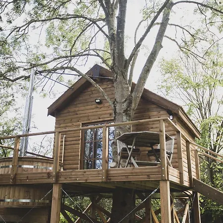 Romantic Woodland Chalet