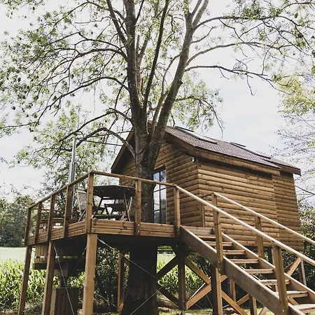 Romantic Woodland Chalet *