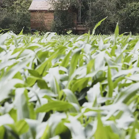 Chalet Romantic Woodland Famenne