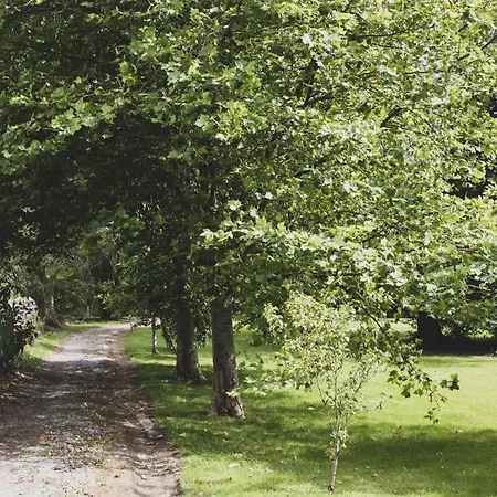Romantic Woodland Famenne