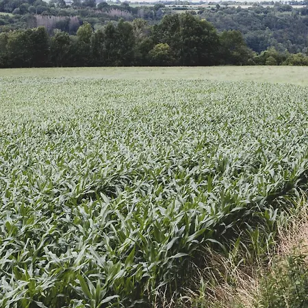 Romantic Woodland Chalet